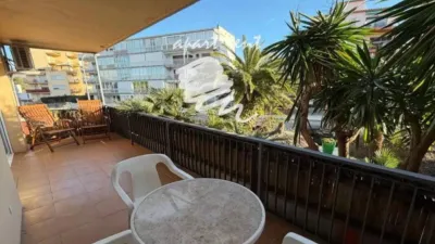 Apartment in Santa Margarida photo 70