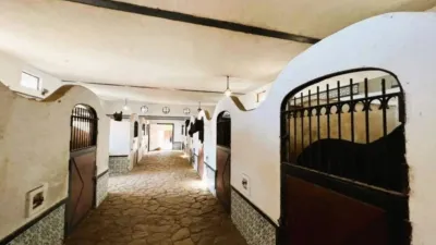 Rustic property in Novelda photo 24