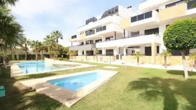 Apartment in Orihuela photo 2