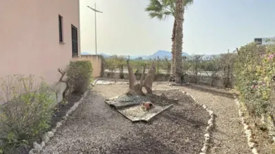 Chalet en Algorfa photo 49