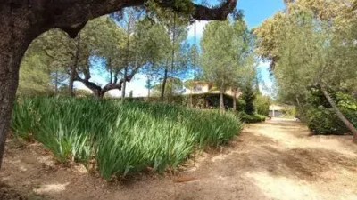 Chalet in La Raya del Palancar-Guadamonte photo 65