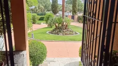 Chalet in La Raya del Palancar-Guadamonte photo 7