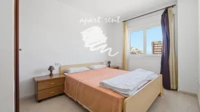Apartment in Santa Margarida photo 12