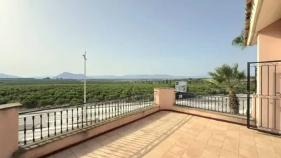 Chalet en Algorfa photo 43