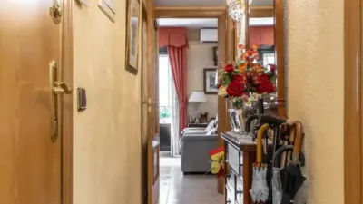 Apartment in Palacio photo 14