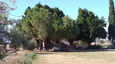 Rustic property in Callosa de Segura photo 29