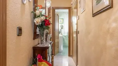 Apartment in Palacio photo 15