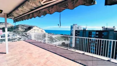 Pis – Alacant / Alicante, el Raval Roig, l'Alacantí - Vista 2