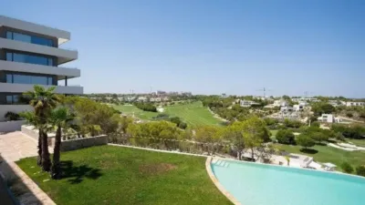 Apartment in Orihuela photo 24