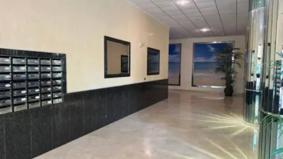 Apartment in Guardamar del Segura photo 49