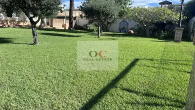 Chalet in Orihuela photo 4