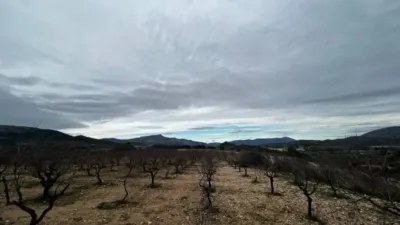 Rustic property in Penàguila photo 58