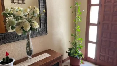 Casa - Vista 2
