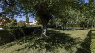 Chalet in El Chaparral photo 12