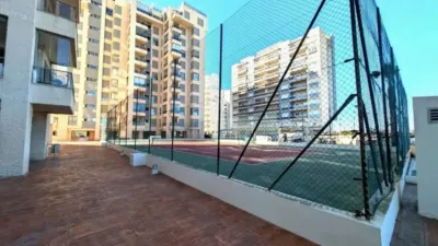 Apartment in Guardamar del Segura photo 21