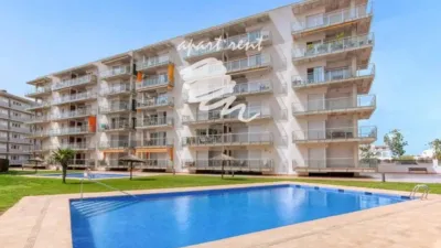 Apartment in Santa Margarida photo 7