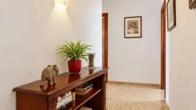 Apartment in Son Armadans photo 22
