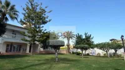 Chalet in Orihuela photo 8