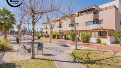 Apartment in Albolote photo 13