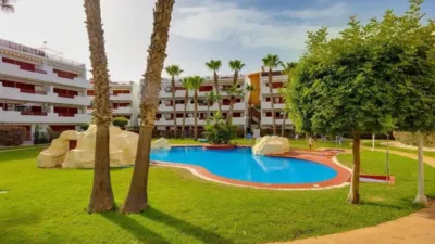 Apartment in Orihuela photo 35