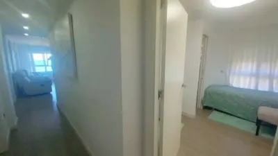 Apartment in Guardamar del Segura photo 12