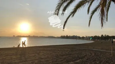 Apartment in Port Esportiu-Canyelles-Puig Rom photo 24