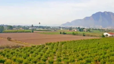 Rustic property in Callosa de Segura photo 45