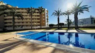 Penthouse in Guardamar del Segura photo 30