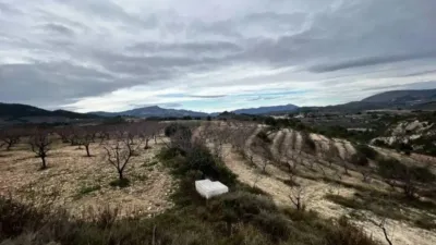 Rustic property in Penàguila photo 47
