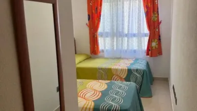 Apartment in Guardamar del Segura photo 41