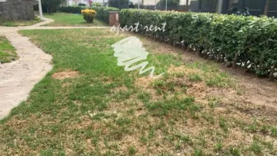 Apartment in Els Grecs-Mas Oliva photo 32