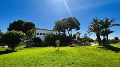 Rustic house in Monòver - Monóvar photo 4