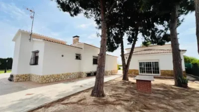 Chalet in Torrellano-Valverde-Parc Empresarial photo 16