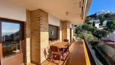 Apartment in Port Esportiu-Canyelles-Puig Rom photo 5