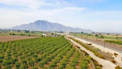 Rustic property in Callosa de Segura photo 43