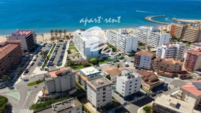 Apartment in Santa Margarida photo 27