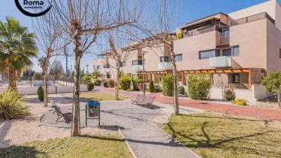 Apartment in Albolote photo 55
