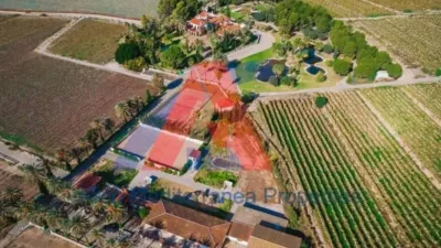 Rustic property in Novelda photo 20