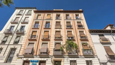 Apartment in Palacio photo 34