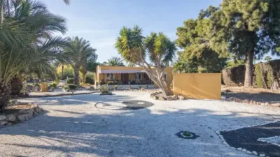 Chalet in Torrellano-Valverde-Parc Empresarial photo 36