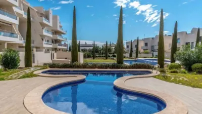 Pis – Orihuela - Vista 3