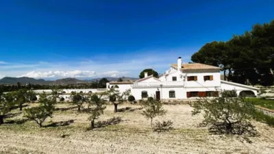 Rustic house in Monòver - Monóvar photo 8