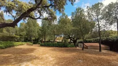Chalet in La Raya del Palancar-Guadamonte photo 64