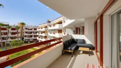 Apartment in Orihuela photo 3