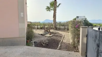 Chalet en Algorfa photo 48