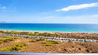 Apartment in Los Arenales del Sol photo 11
