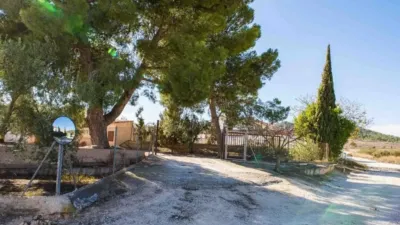 Rustic house in Yecla photo 15