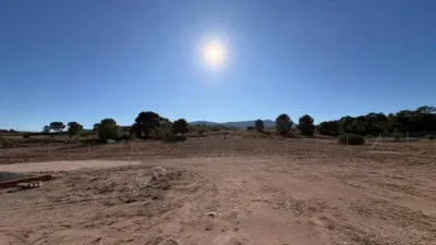 Chalet in Jumilla photo 6