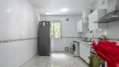 Apartment in San Isidro photo 20