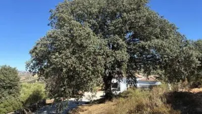 Chalet in El Gastor photo 35